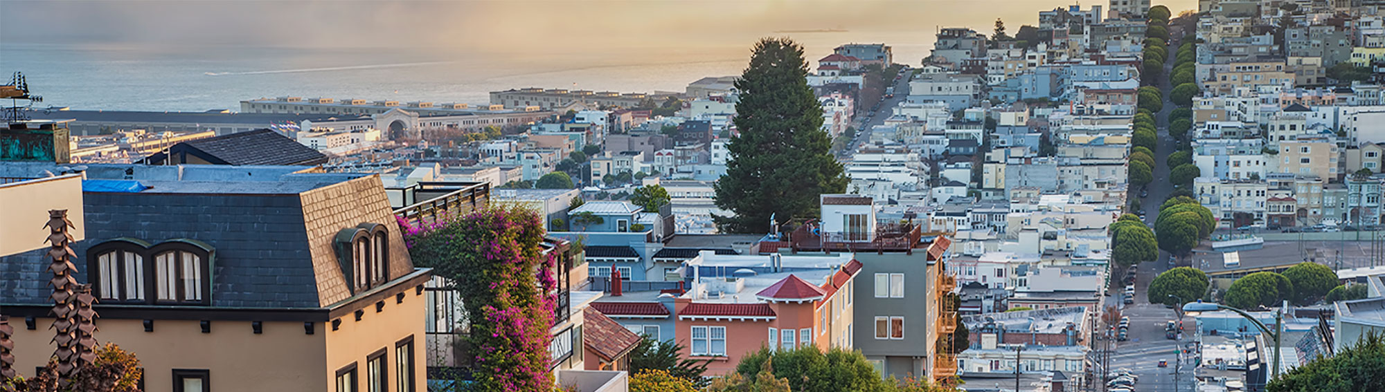 San Francisco view