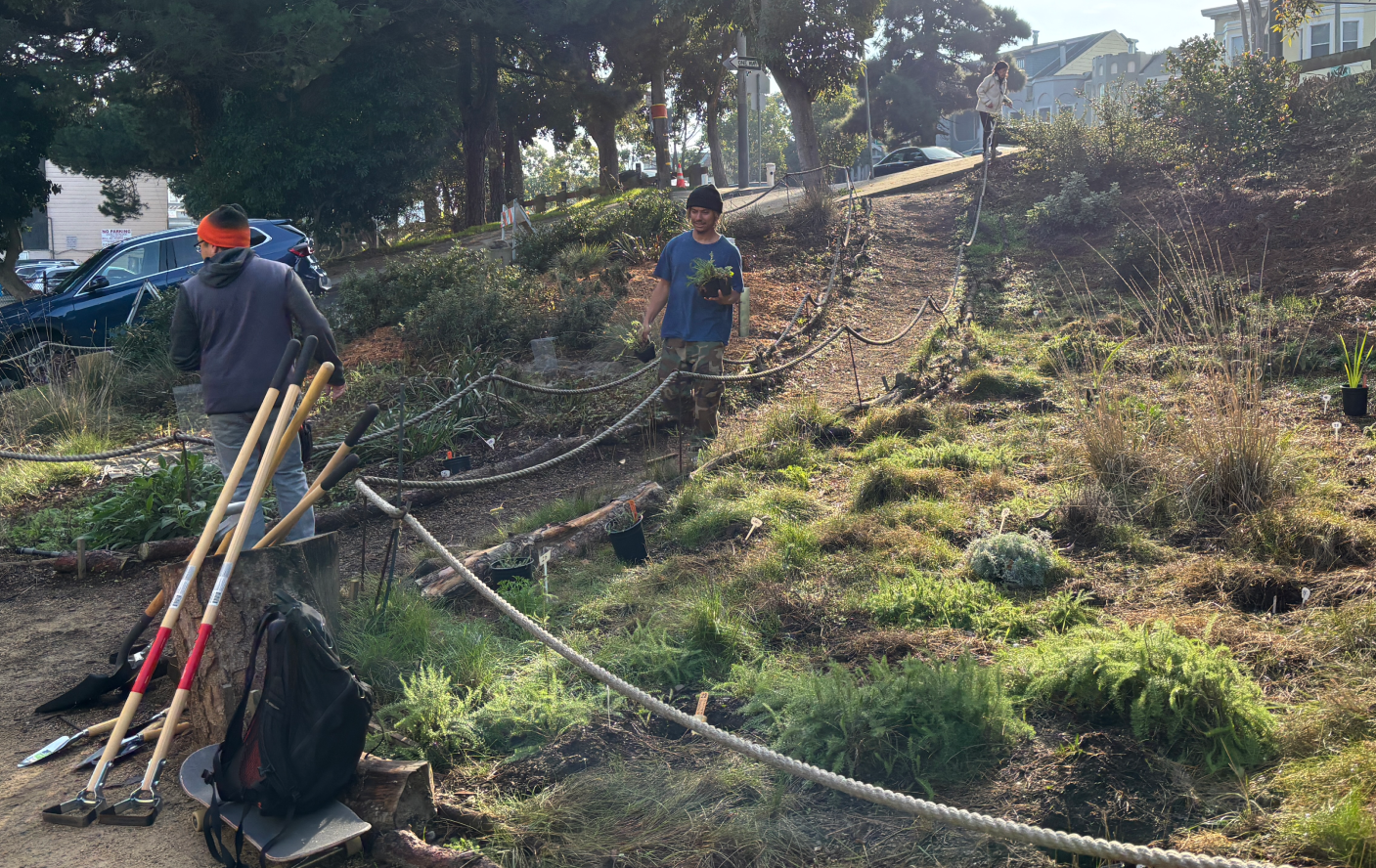 Glen Park Greenway Planting