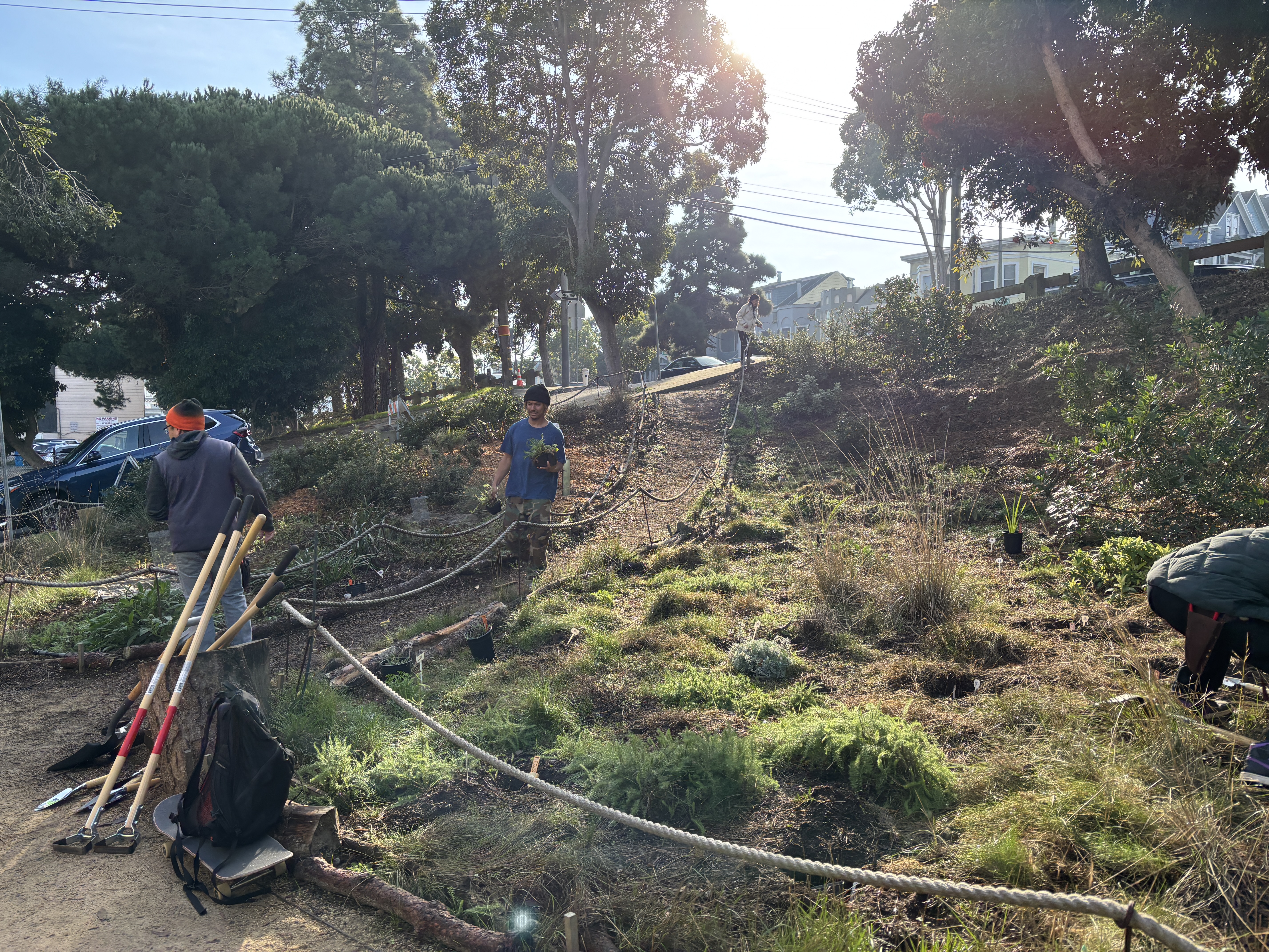 Glen Park Greenway Planting