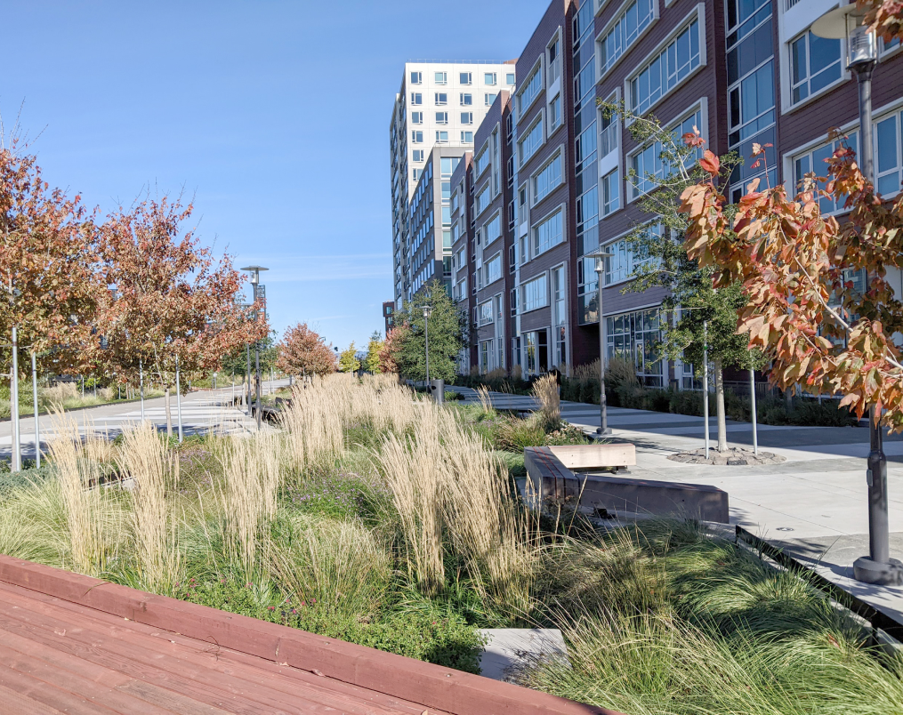Mission Creek Park